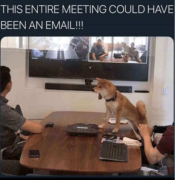 Zdjęcie przedstawia psa 'krzyczącego' na człowieka: To spotkanie mogło być mailem!